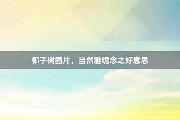 椰子树图片,当然雅瞻念之好意思