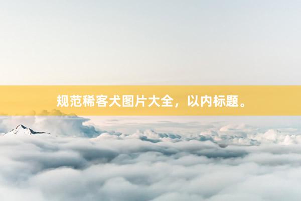 规范稀客犬图片大全，以内标题。